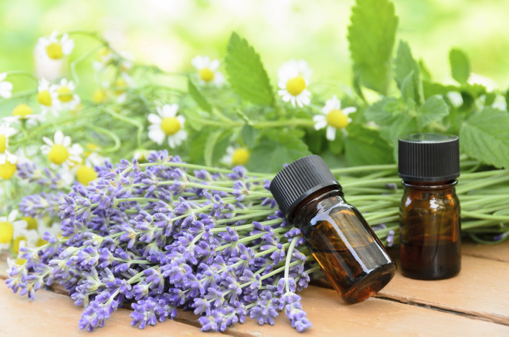 Essential Oils vs. Anointing Oil: The Biblical Truth Revealed