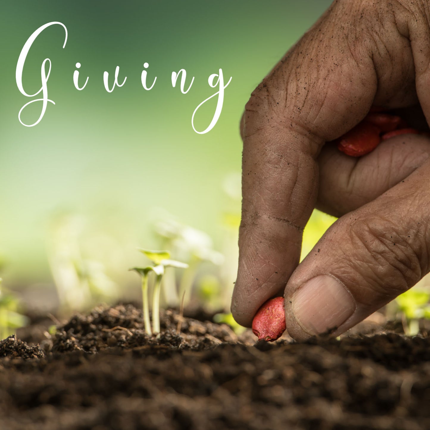 Spenden Sie an LoveUnlimited Ministries